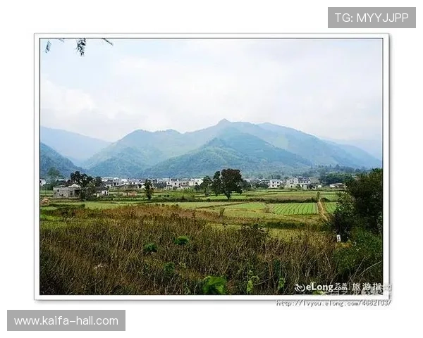 解决k8网站登录常见问题的详细步骤与解决方案