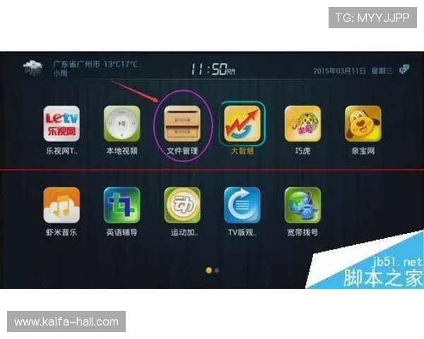 凯发体育平台丰富的体育赛事直播与投注攻略