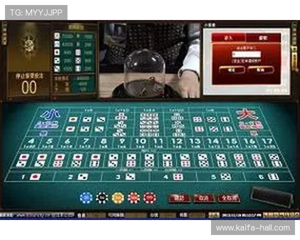 血战骰宝最佳投注策略推荐助你合理分配游戏资金 血战骰宝最佳投注策略推荐助你合理分配游戏资金